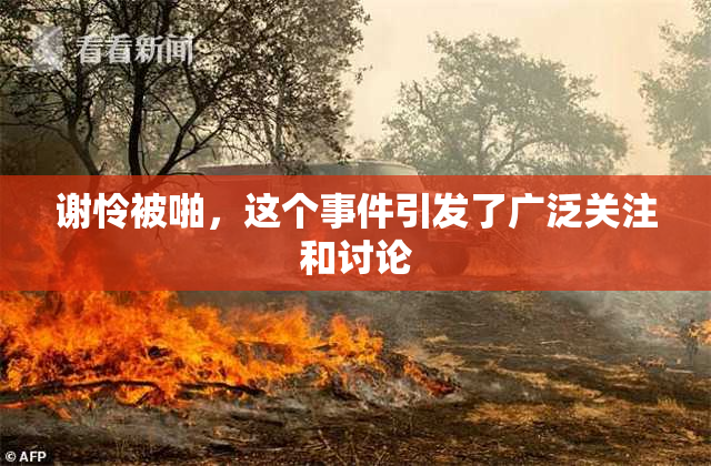 谢怜被啪，这个事件引发了广泛关注和讨论