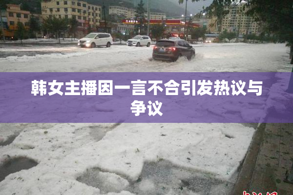 韩女主播因一言不合引发热议与争议