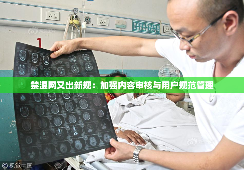 禁漫网又出新规：加强内容审核与用户规范管理
