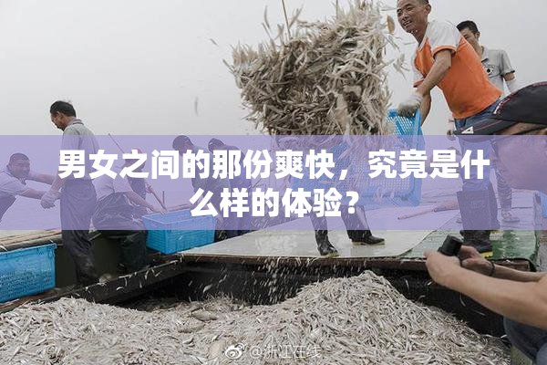 男女之间的那份爽快，究竟是什么样的体验？