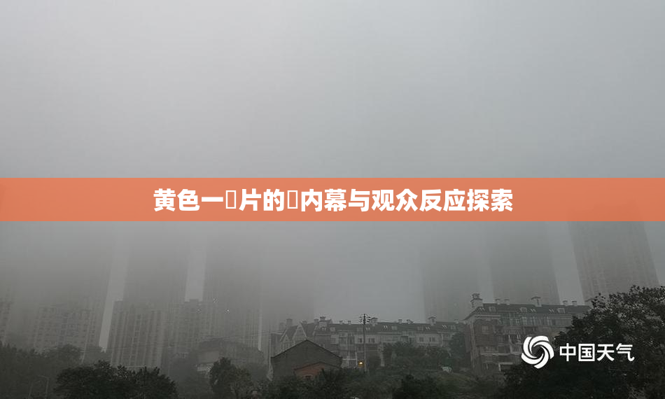 黄色一級片的黃内幕与观众反应探索