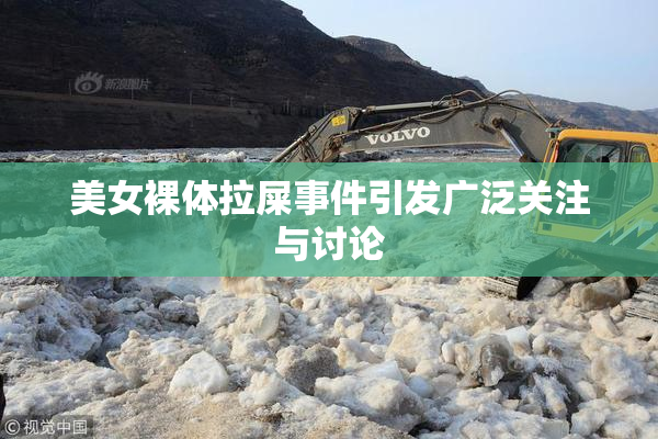 美女裸体拉屎事件引发广泛关注与讨论