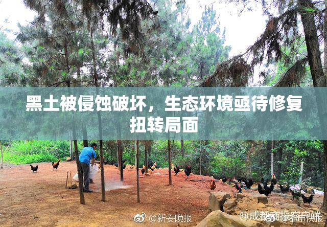 黑土被侵蚀破坏，生态环境亟待修复扭转局面