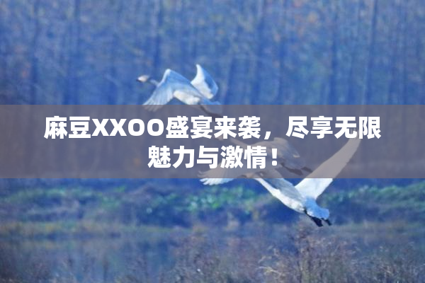 麻豆XXOO盛宴来袭，尽享无限魅力与激情！
