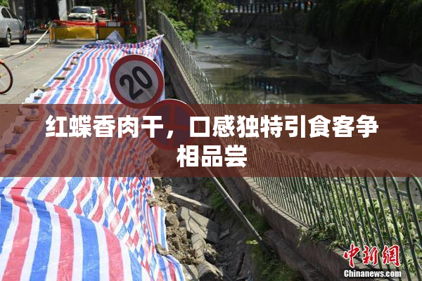 红蝶香肉干，口感独特引食客争相品尝