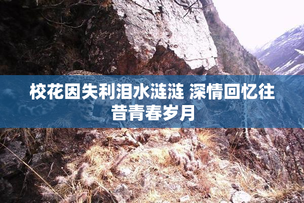 校花因失利泪水涟涟 深情回忆往昔青春岁月