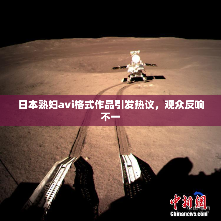 日本熟妇avi格式作品引发热议，观众反响不一