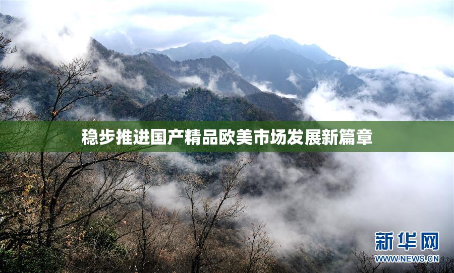 稳步推进国产精品欧美市场发展新篇章