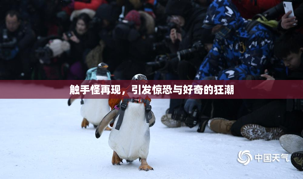 触手怪再现，引发惊恐与好奇的狂潮