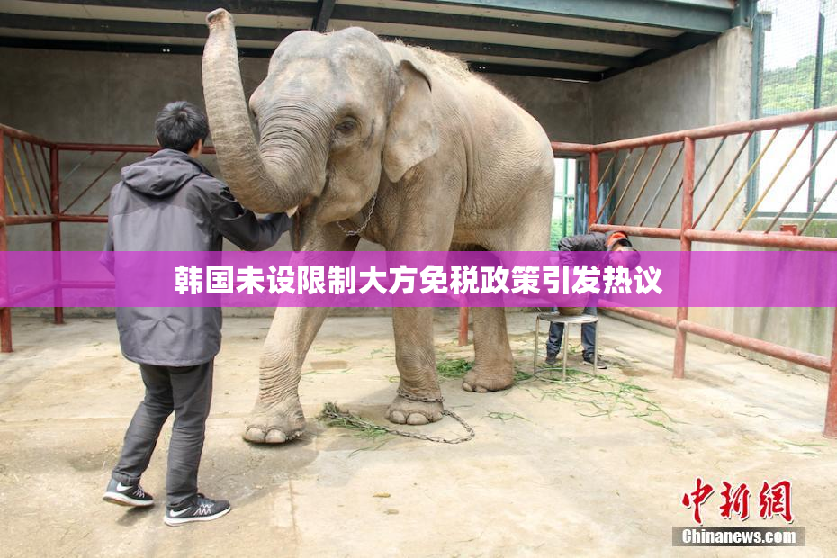 韩国未设限制大方免税政策引发热议