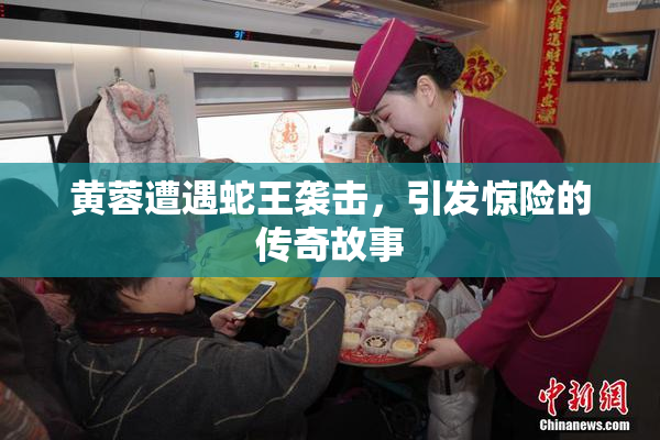 黄蓉遭遇蛇王袭击，引发惊险的传奇故事
