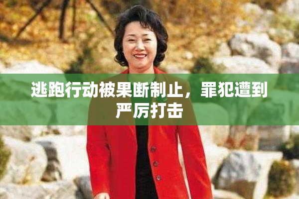 逃跑行动被果断制止，罪犯遭到严厉打击
