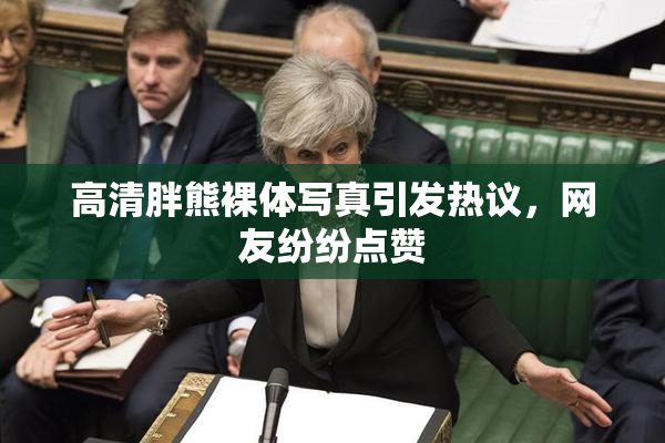 高清胖熊裸体写真引发热议，网友纷纷点赞