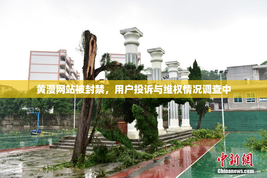 黄漫网站被封禁，用户投诉与维权情况调查中