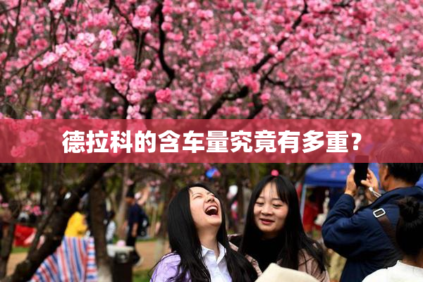 德拉科的含车量究竟有多重？