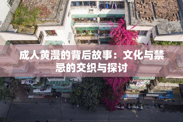 成人黄漫的背后故事：文化与禁忌的交织与探讨