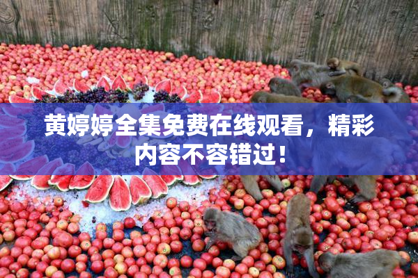 黄婷婷全集免费在线观看，精彩内容不容错过！