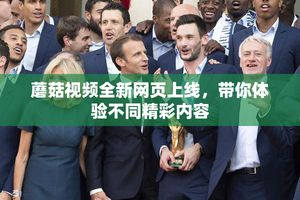 蘑菇视频全新网页上线，带你体验不同精彩内容