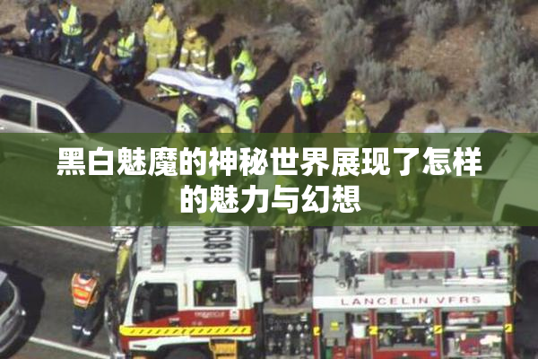 黑白魅魔的神秘世界展现了怎样的魅力与幻想