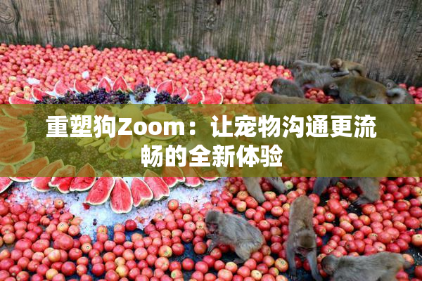 重塑狗Zoom：让宠物沟通更流畅的全新体验