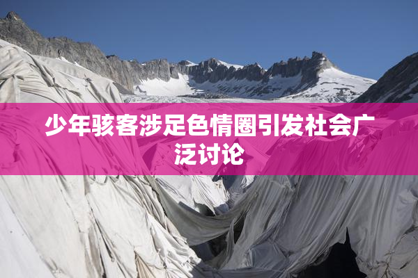 少年骇客涉足色情圈引发社会广泛讨论