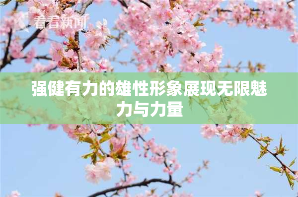 强健有力的雄性形象展现无限魅力与力量