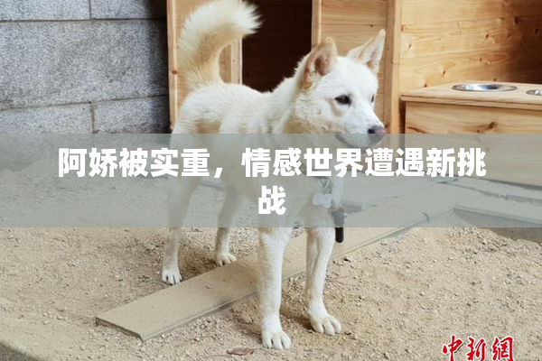 阿娇被实重，情感世界遭遇新挑战