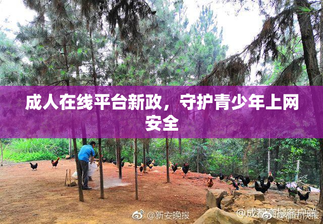成人在线平台新政，守护青少年上网安全