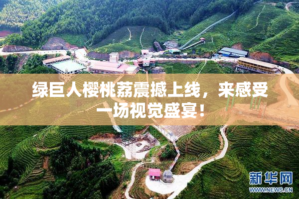绿巨人樱桃荔震撼上线，来感受一场视觉盛宴！