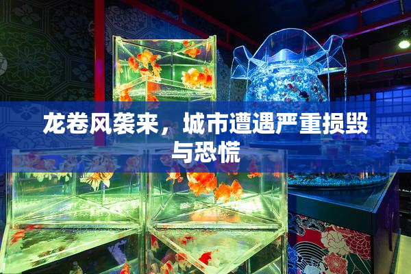 龙卷风袭来，城市遭遇严重损毁与恐慌