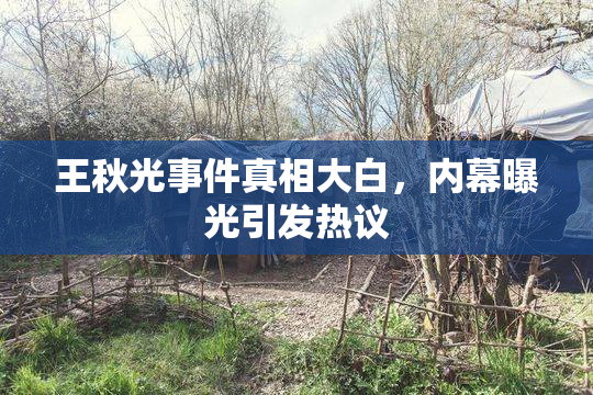 王秋光事件真相大白，内幕曝光引发热议