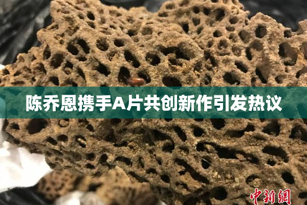 陈乔恩携手A片共创新作引发热议