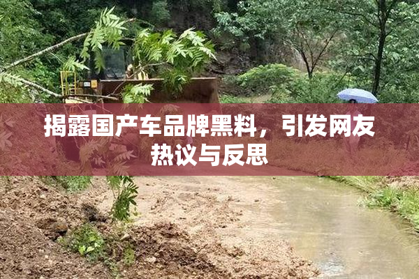 揭露国产车品牌黑料，引发网友热议与反思
