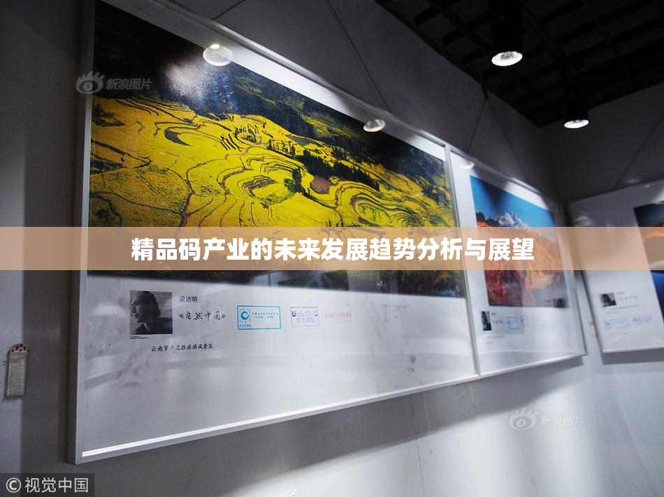精品码产业的未来发展趋势分析与展望