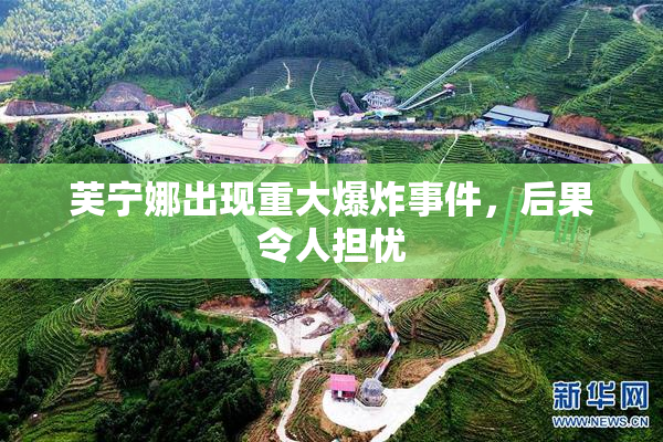 芙宁娜出现重大爆炸事件，后果令人担忧