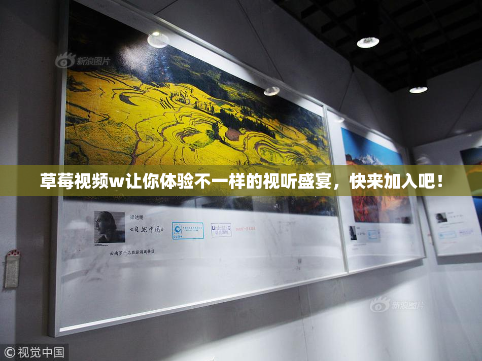 草莓视频w让你体验不一样的视听盛宴，快来加入吧！