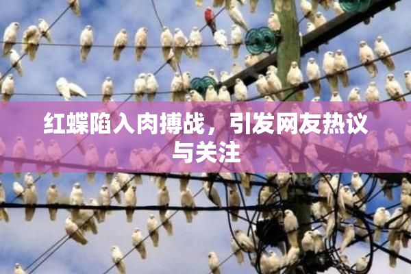 红蝶陷入肉搏战，引发网友热议与关注