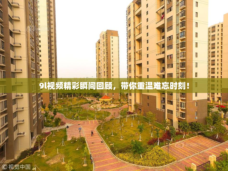 9l视频精彩瞬间回顾，带你重温难忘时刻！