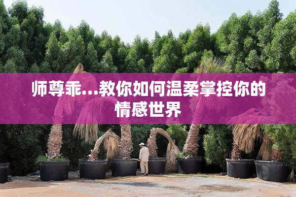 师尊乖…教你如何温柔掌控你的情感世界