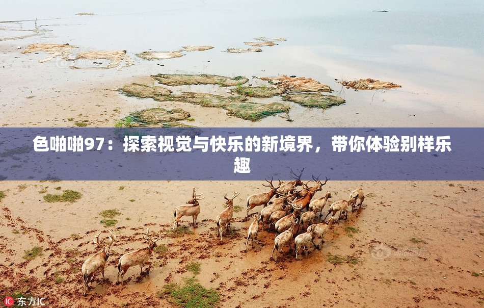 色啪啪97：探索视觉与快乐的新境界，带你体验别样乐趣