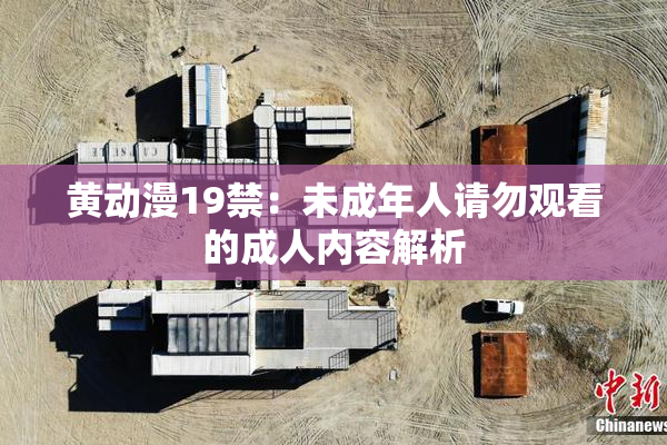 黄动漫19禁：未成年人请勿观看的成人内容解析