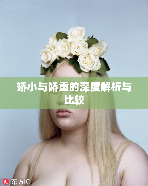 矫小与娇重的深度解析与比较