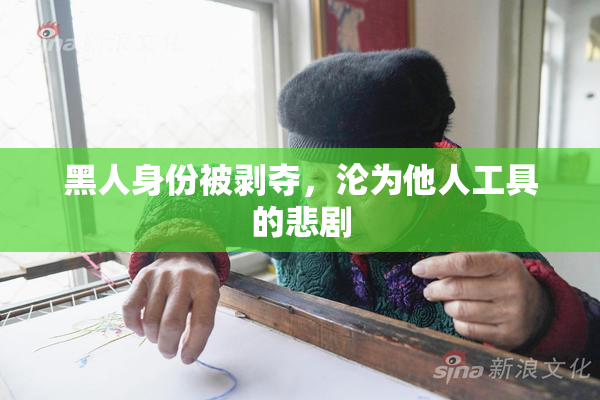 黑人身份被剥夺，沦为他人工具的悲剧