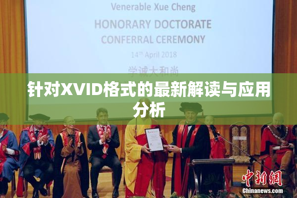 针对XVID格式的最新解读与应用分析