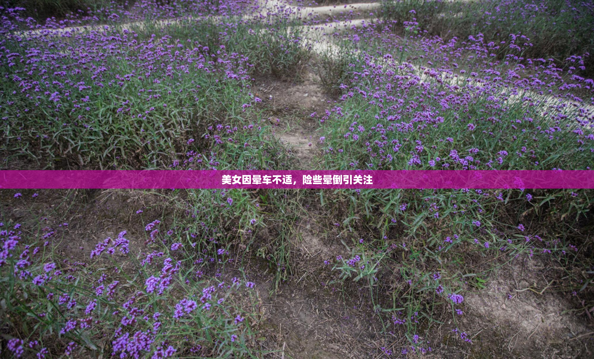 美女因晕车不适，险些晕倒引关注