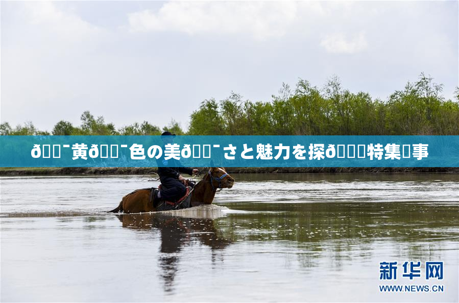 🔯黄🔯色の美🔯さと魅力を探🌃特集記事