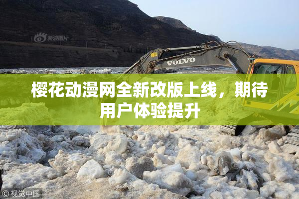 樱花动漫网全新改版上线，期待用户体验提升