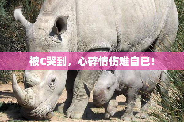 被C哭到，心碎情伤难自已！