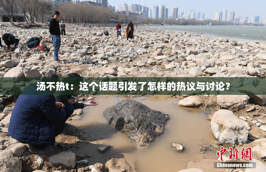 汤不热t：这个话题引发了怎样的热议与讨论？