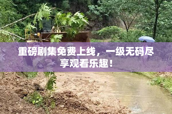 重磅剧集免费上线，一级无码尽享观看乐趣！